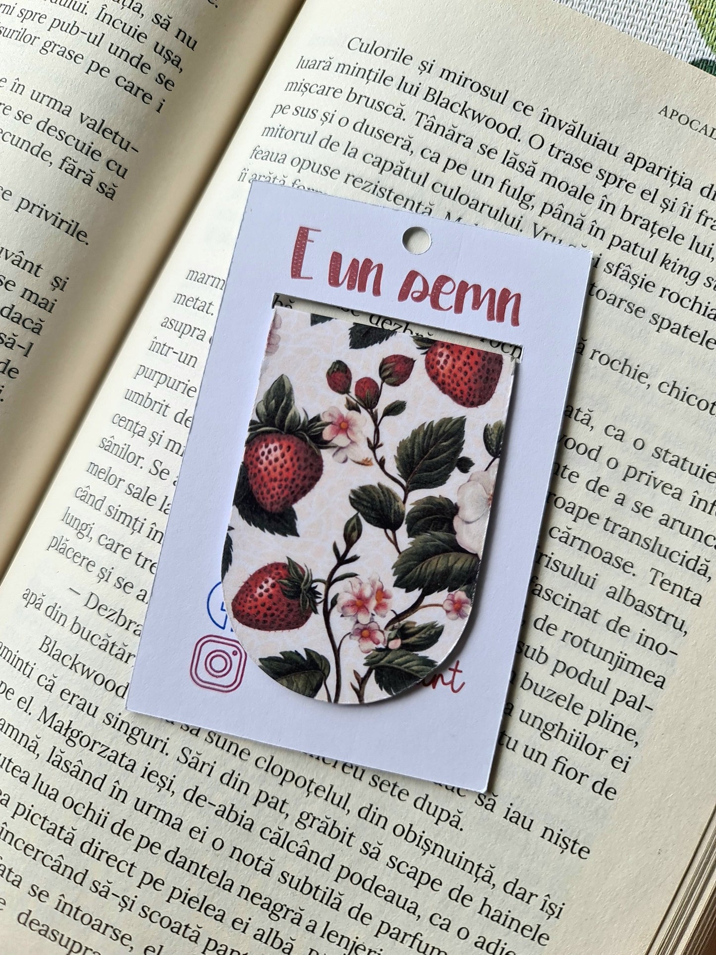 Semn de carte Căpșuni