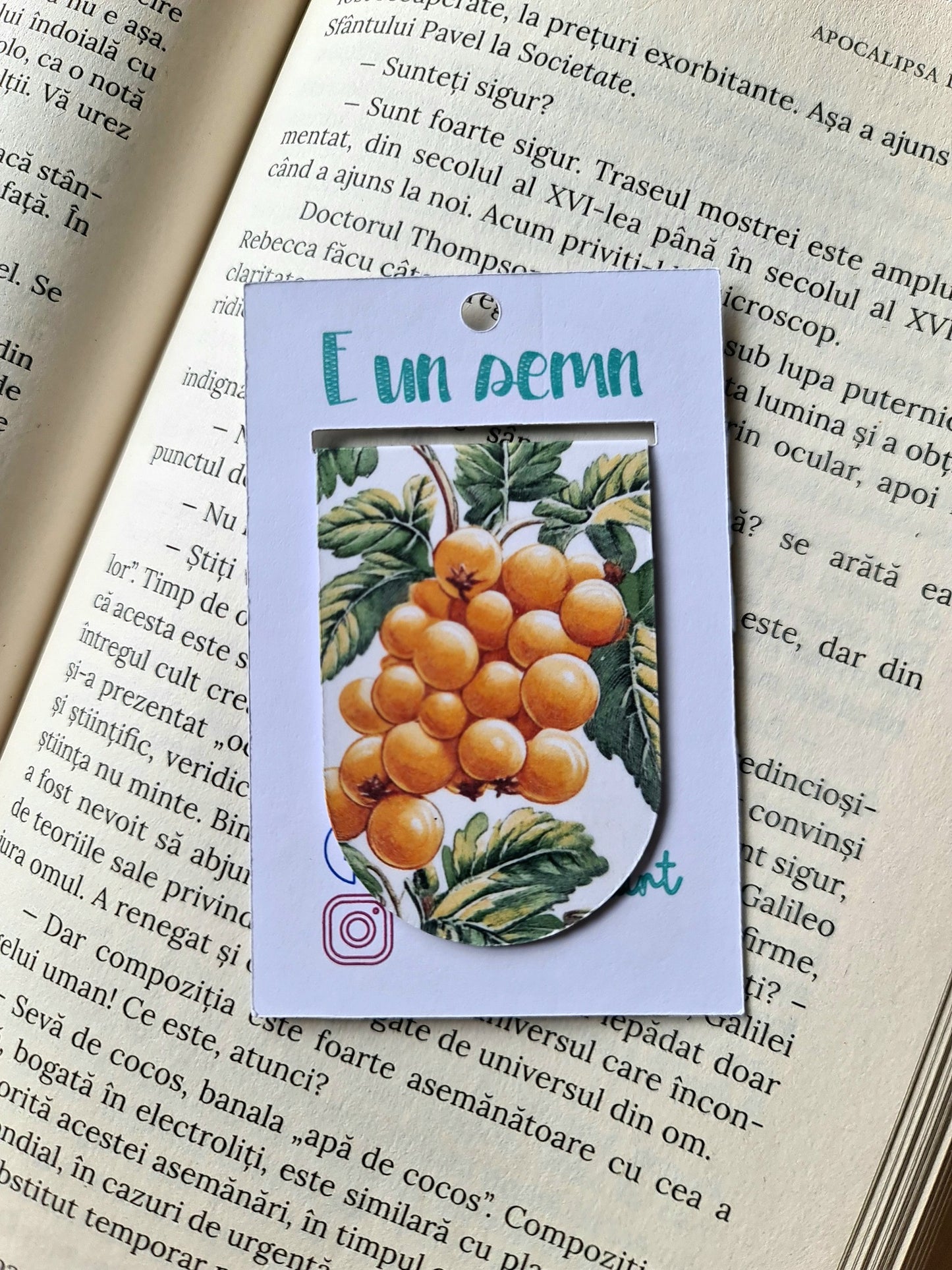 Semn de carte Fructe