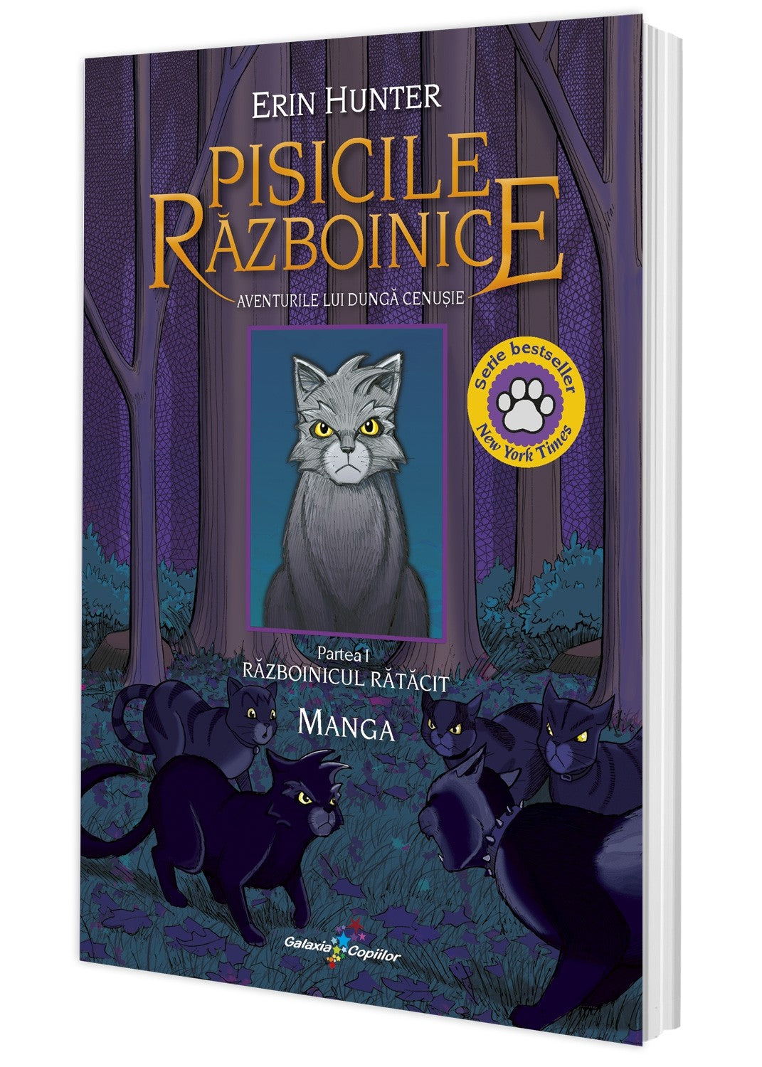 Manga. Pisicile războinice Vol. 1: Aventurile lui Dungă Cenușie, Războinicul rătăcit